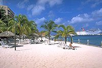 Cozumel Coral Reef Beach