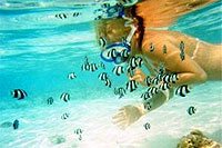 Cozumel Snorkeling Tour