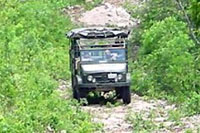 Nohoch Jungle Crossing in Cozumel