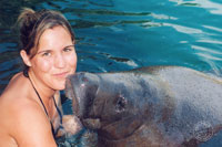 Swim With Manatees Cozumel