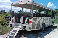 Cozumel Highlights Excursion