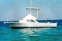 Cozumel Deep Sea Fishing