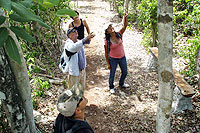 Hiking Excursion Cozumel