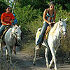 Cozumel Horseback Riding Excursion