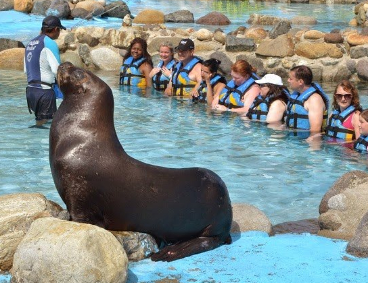 groups in cozumel