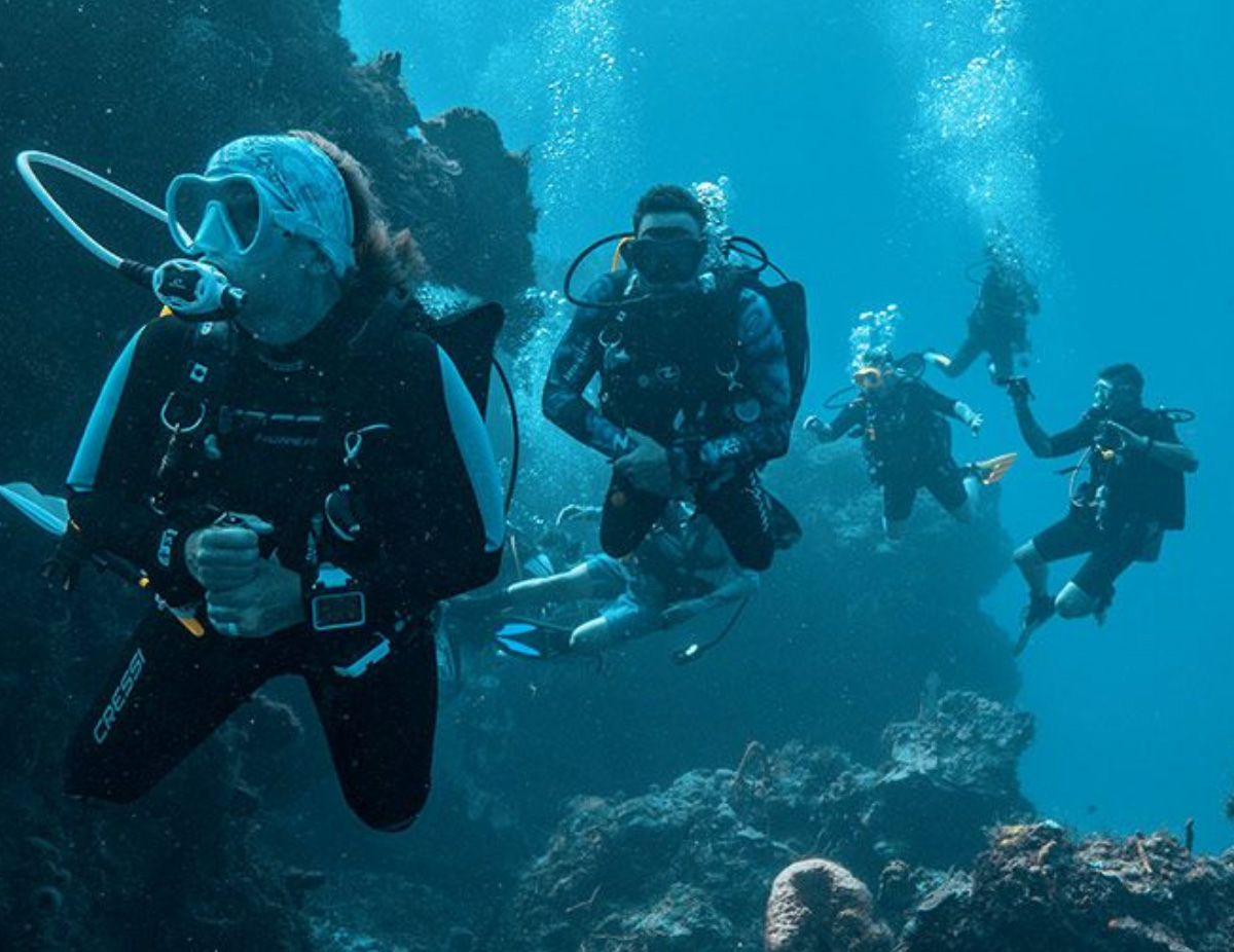 groups in cozumel