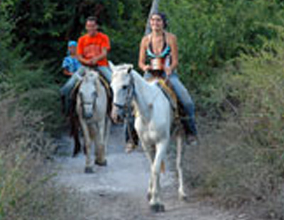 land activities cozumel