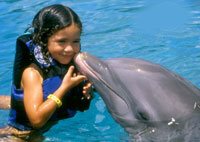 Cozumel Dolphin Encounter - Save 22%!