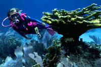 Scuba Refresher Course Cozumel