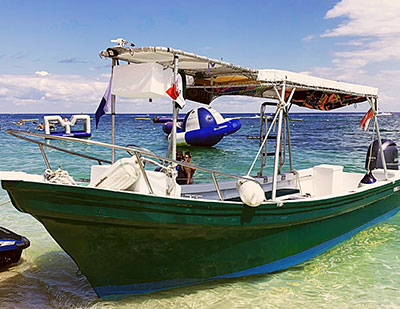 Cozumel Snorkeling Tour