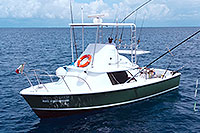 Cozumel Bottom Fishing