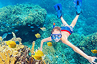 Palancar and El Cielo Snorkeling Cozumel